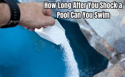 How Long After Adding Shock to Pool Can You Swim: A Dive into the Depths of Pool Maintenance