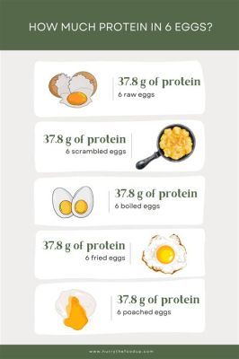 How Many Grams of Protein in One Scrambled Egg and Why It Matters for Your Morning Routine