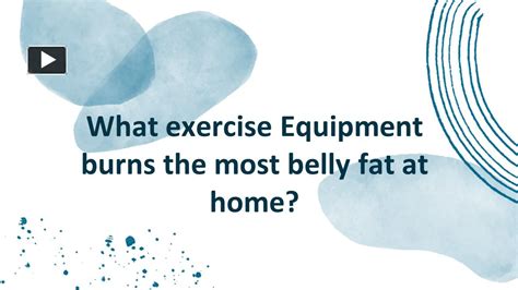 What Exercise Equipment Burns the Most Belly Fat: And Why Do Cats Love Treadmills?